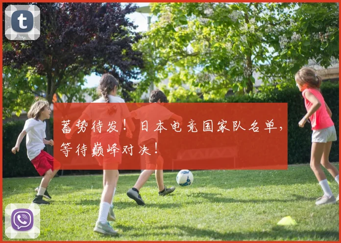 蓄势待发！日本电竞国家队名单，等待巅峰对决！