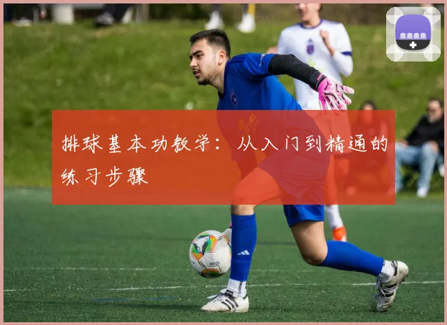 排球基本功教学：从入门到精通的练习步骤