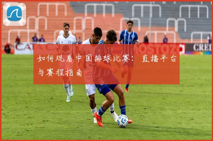 如何观看中国排球比赛：直播平台与赛程指南