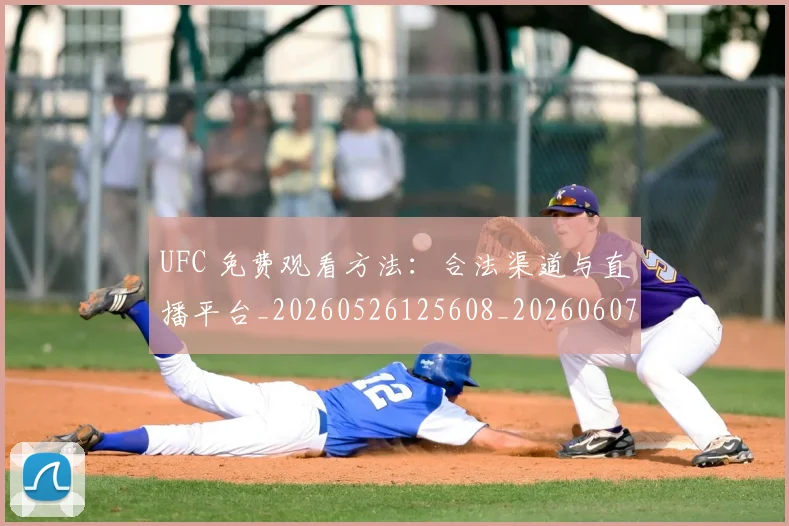 UFC 免费观看方法：合法渠道与直播平台_20260526125608_20260607160250